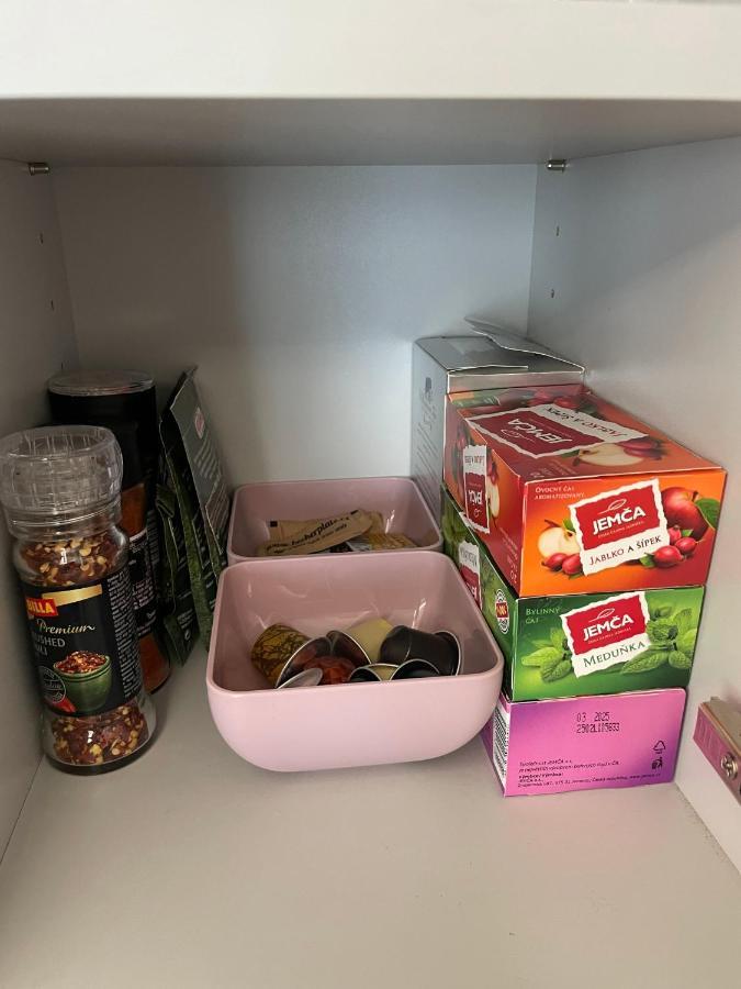Apartman Plesivec U Sjezdovky Абертами Екстериор снимка